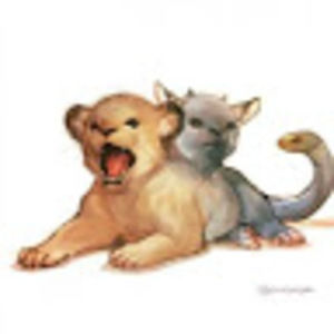 Meet your Posher, Meredith